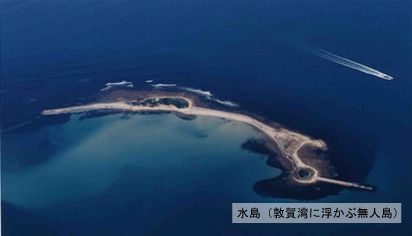 広告